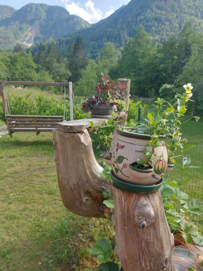 Apartmaji Katrc Soča Exterior foto