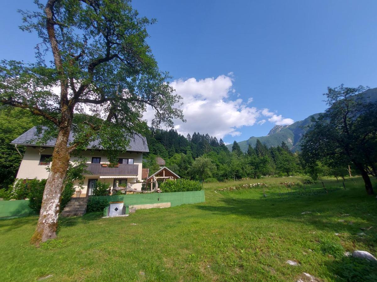 Apartmaji Katrc Soča Exterior foto